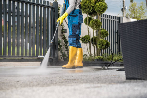 Best Sidewalk and Walkway Cleaning  in Pinewood, FL
