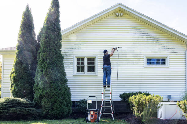 Best Patio and Deck Pressure Washing  in Pinewood, FL